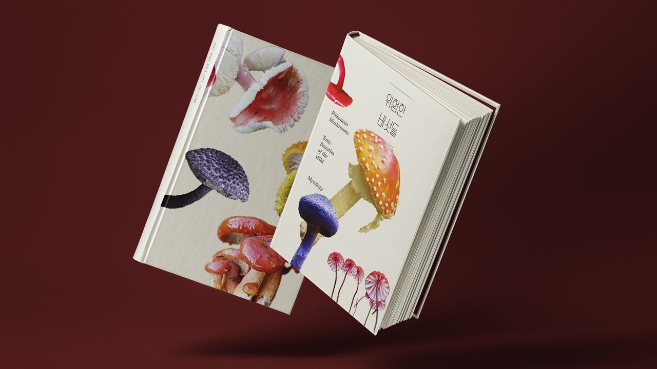 위험한 버섯들 Image